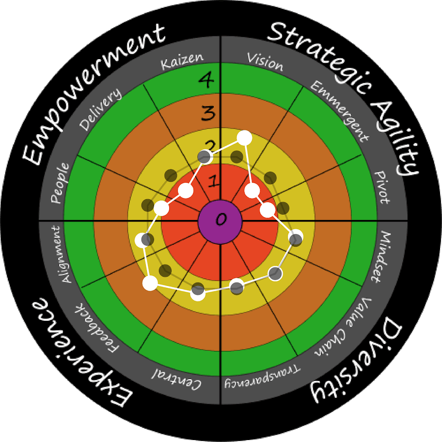 Business Agility Radar